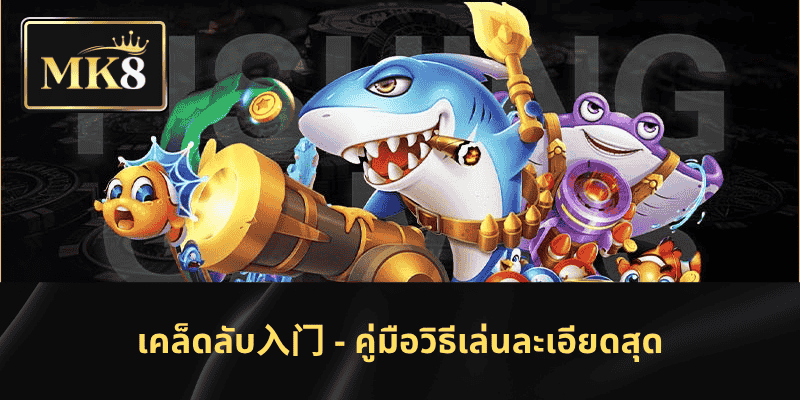 เคล็ดลับ入门 - คู่มือวิธีเล่นละเอียดสุด